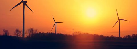 Entreprise spécialisée